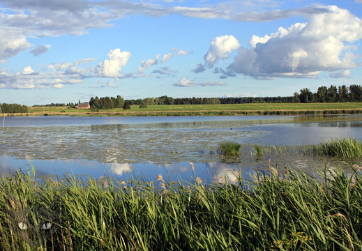 51887740517 65fa9a6a92 o