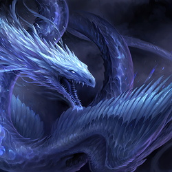 Dragon pictures form the internet